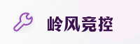 合作伙伴
